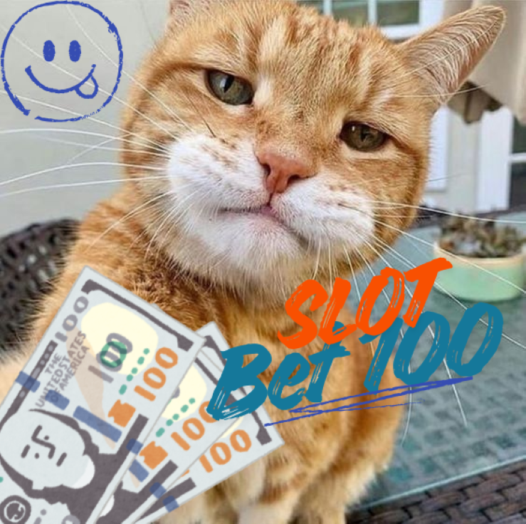 Slot Bet 100 dengan Teknik Bermain Harian Lebih Efisien